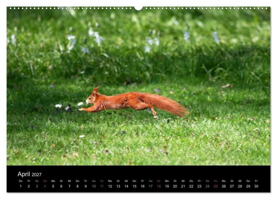 InsideView 8