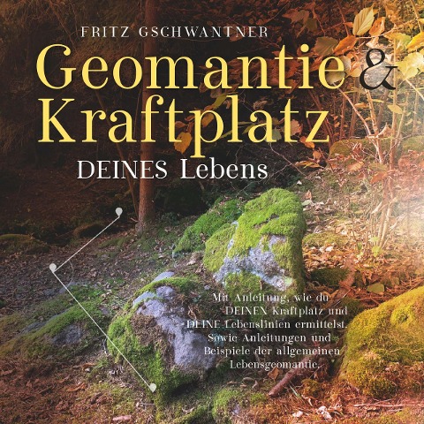 Geomantie und Kraftplatz DEINES Lebens - Fritz Gschwantner