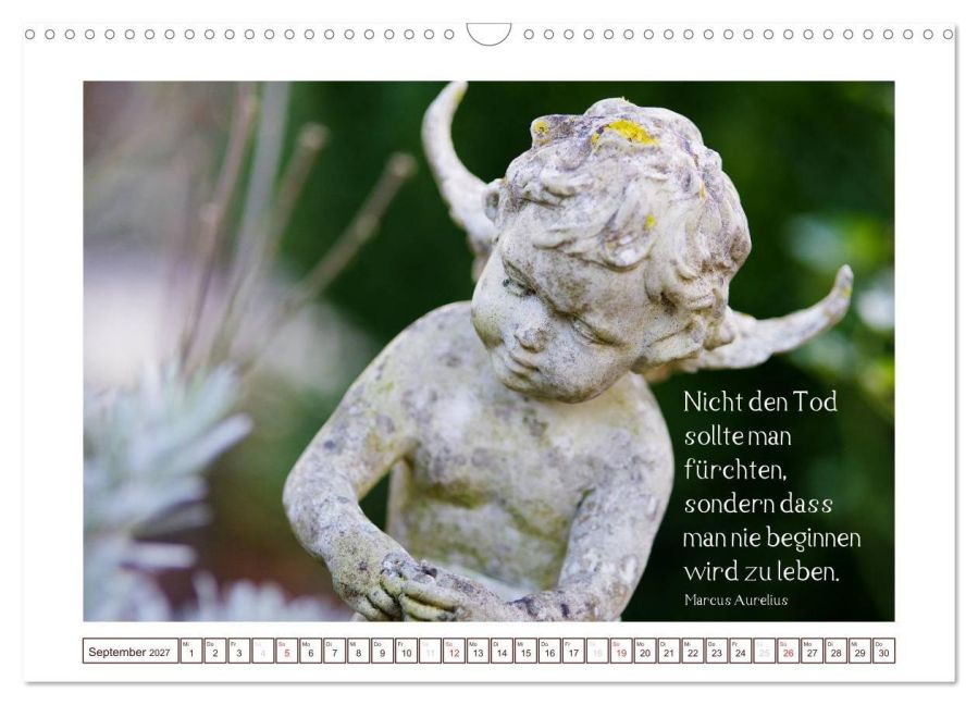 InsideView 14