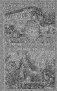 Cover-Bild zum Titel 'Nur für Naschkatzen und Schleckermäuler' von 'Ameise'