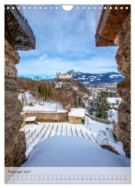 InsideView 7