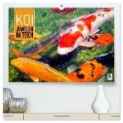 Koi: Juwelen im Teich (hochwertiger Premium Wandkalender 2026 DIN A2 quer), Kunstdruck in Hochglanz - Calvendo Calvendo