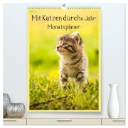 Cover-Bild zum Titel 'Mit Katzen durchs Jahr / Planer (hochwertiger Premium Wandkalender 2026 DIN A2 hoch), Kunstdruck in Hochglanz' von 'Yvonne Obermüller Fotografie'