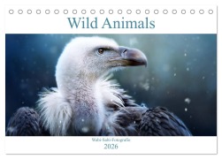 Wild Animals - Wilde Tiere (Tischkalender 2026 DIN A5 quer), CALVENDO Monatskalender - Janina Bürger