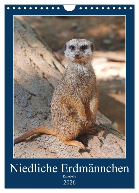 Niedliche Erdmännchen (Wandkalender 2026 DIN A4 hoch), CALVENDO Monatskalender - Kattobello Kattobello