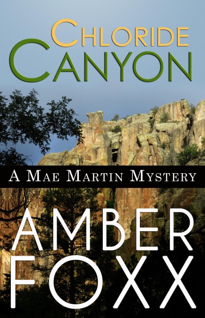 Chloride Canyon (Mae Martin Mysteries, #8) - Amber Foxx