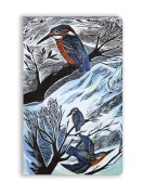 Cover-Bild zum Titel 'Angela Harding: Suffolk Kingfishers (Soft Touch Journal)' von ''