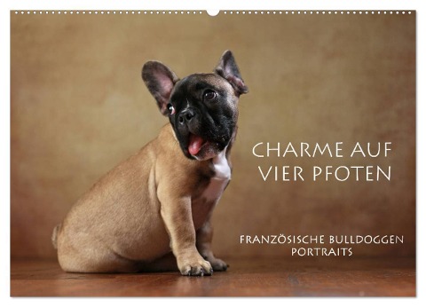 Charme auf vier Pfoten - Französische Bulldoggen Portraits (Wandkalender 2024 DIN A2 quer), CALVENDO Monatskalender - Jana Behr