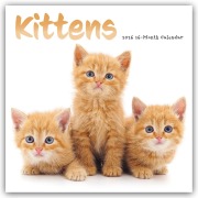 Kittens - Kätzchen - Katzenjunge - Katzenbabys 2026 - Wand-Kalender - Carousel Calendar