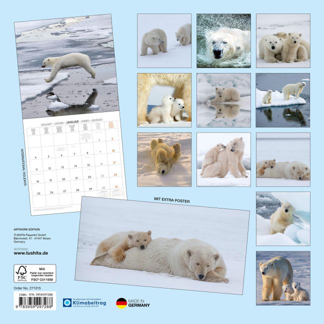InsideView 13