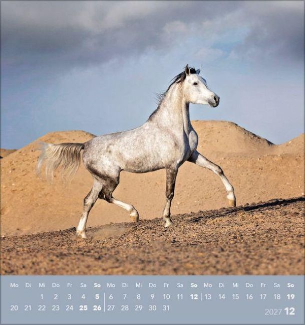 InsideView 12