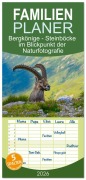 Cover-Bild zum Titel 'Familienplaner 2026 - Bergkönige - Steinböcke im Blickpunkt der Naturfotografie mit 5 Spalten (Wandkalender, 21 x 45 cm) CALVENDO' von 'Renaldo Caumont'