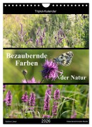 Bezaubernde Farben der Natur (Wandkalender 2026 DIN A4 hoch), CALVENDO Monatskalender - Sabine Löwer