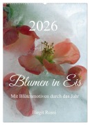 Cover-Bild zum Titel 'Blumen in Eis (Wandkalender 2026 DIN A2 hoch), CALVENDO Monatskalender' von 'Birgit Rossi'