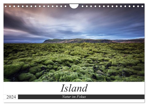 Island - Natur im Fokus (Wandkalender 2024 DIN A4 quer), CALVENDO Monatskalender - Dieter Weck