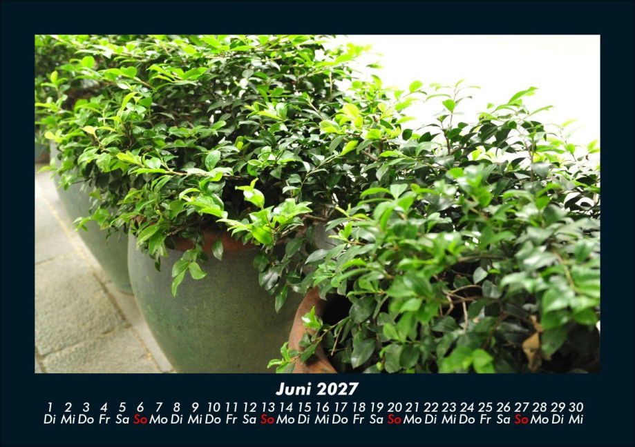 InsideView 10