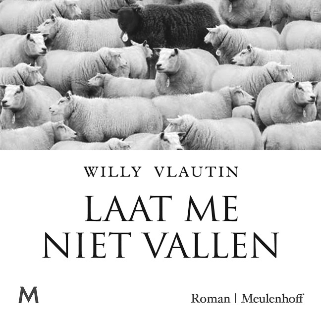 Laat me niet vallen - Willy Vlautin