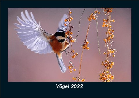 Vögel 2022 Fotokalender DIN A5 - Tobias Becker