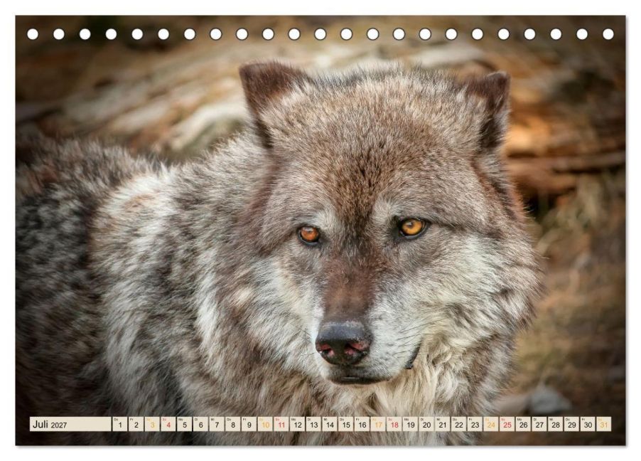 InsideView 12