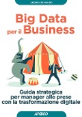 Big data per il business. Guida strategica per manager alle prese con la trasformazione digitale - Andrea de Mauro