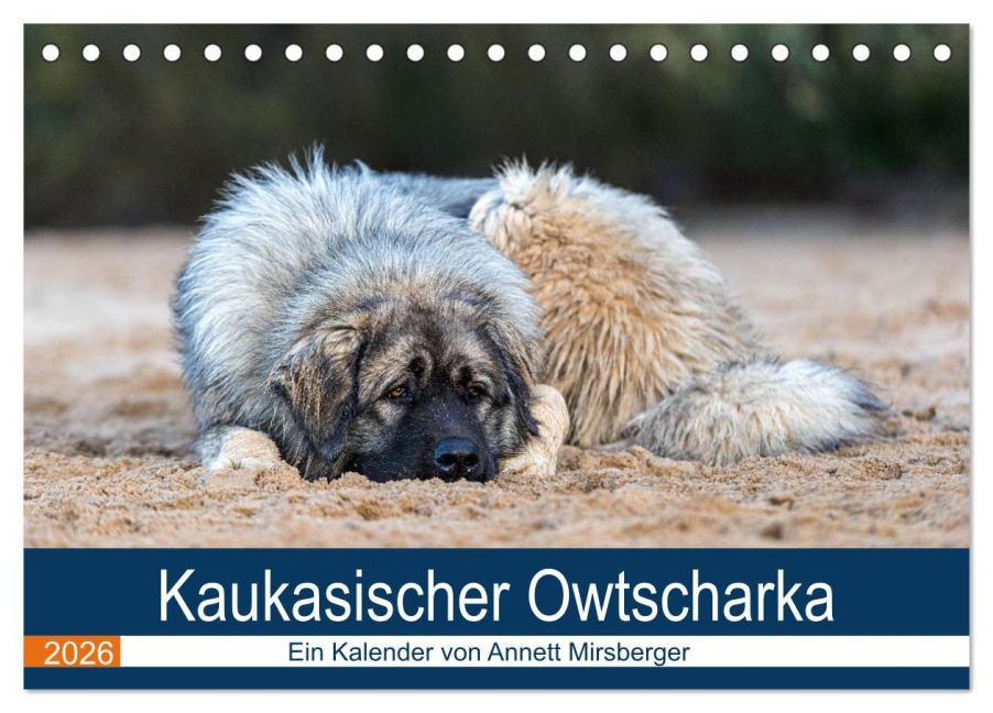 Kaukasischer Owtscharka (Tischkalender 2026 DIN A5 quer), CALVENDO Monatskalender - Annett Mirsberger