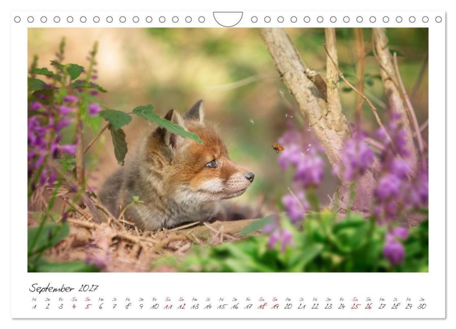 InsideView 14