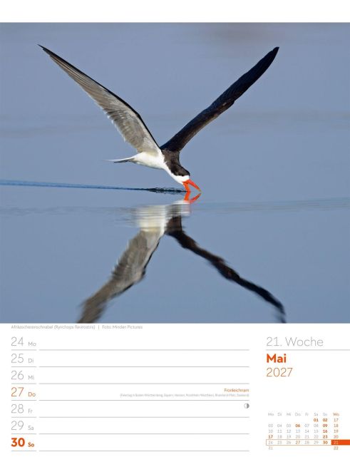 InsideView 25