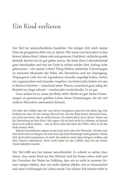 InsideView 4