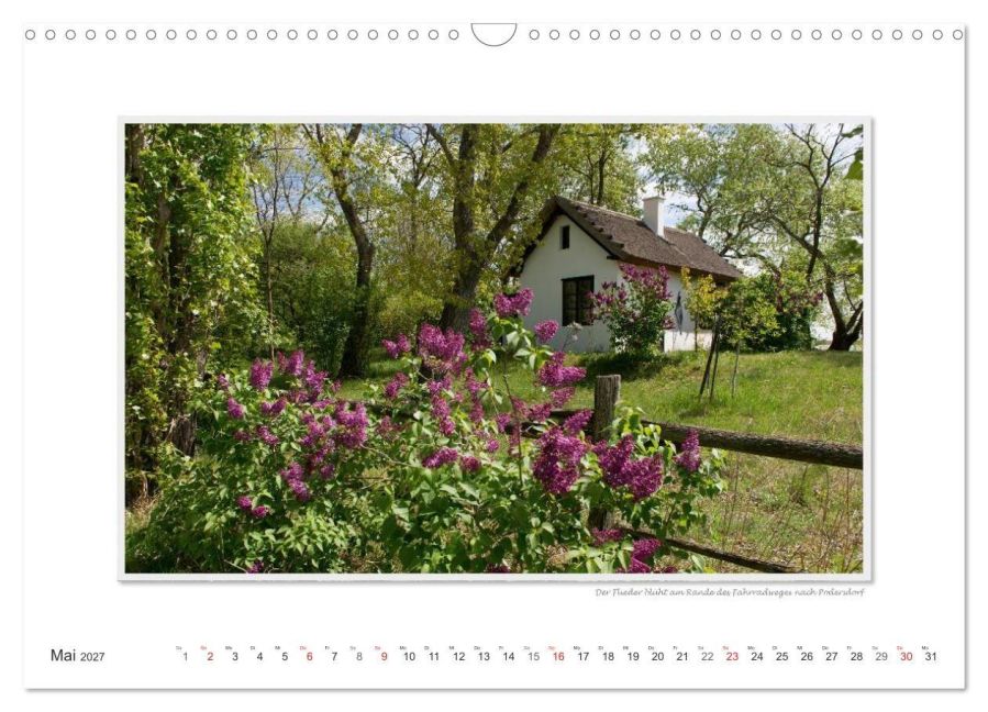 InsideView 10