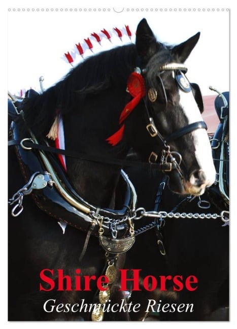 Shire Horse - Geschmückte Riesen (Wandkalender 2026 DIN A2 hoch), CALVENDO Monatskalender - Elisabeth Stanzer
