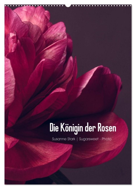Die Königin der Rosen (Wandkalender 2026 DIN A2 hoch), CALVENDO Monatskalender - Susanne Stark Sugarsweet - Photo