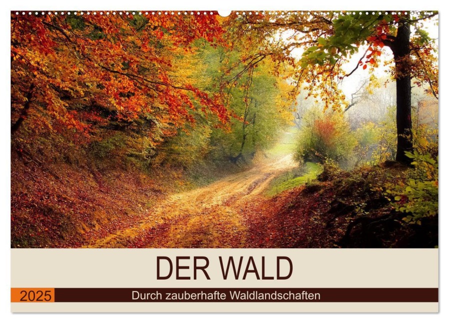Der Wald. Durch zauberhafte Waldlandschaften (Wandkalender 2025 DIN A2 quer), CALVENDO Monatskalender - Rose Hurley