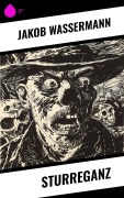 Cover-Bild zum Titel 'Sturreganz' von 'Jakob Wassermann'