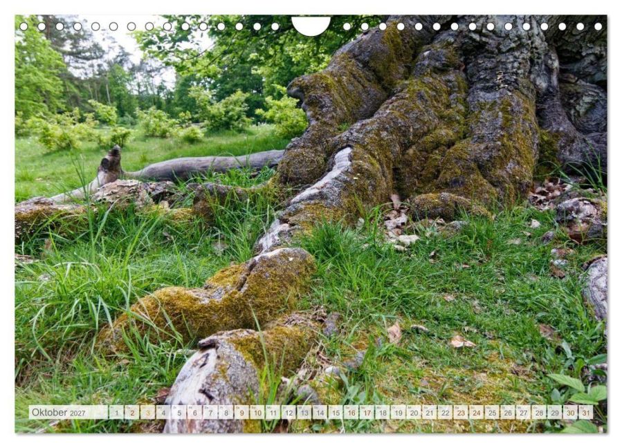 InsideView 2