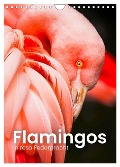 Flamingos in rosa Federpracht. (Wandkalender 2024 DIN A4 hoch), CALVENDO Monatskalender - Sf Sf