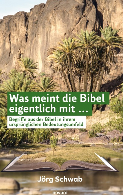 Was meint die Bibel eigentlich mit ... - Jörg Schwab