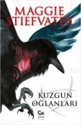 Cover-Bild zum Titel 'Kuzgun Oglanlari' von 'Maggie Stiefvater'