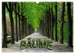 Cover-Bild zum Titel 'Bäume 2026 (Wandkalender 2026 DIN A3 quer), CALVENDO Monatskalender' von 'Bildagentur Geduldig'