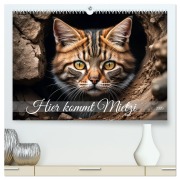 Cover-Bild zum Titel 'Hier kommt Mietzi (hochwertiger Premium Wandkalender 2026 DIN A2 quer), Kunstdruck in Hochglanz' von 'Babette Whitter'