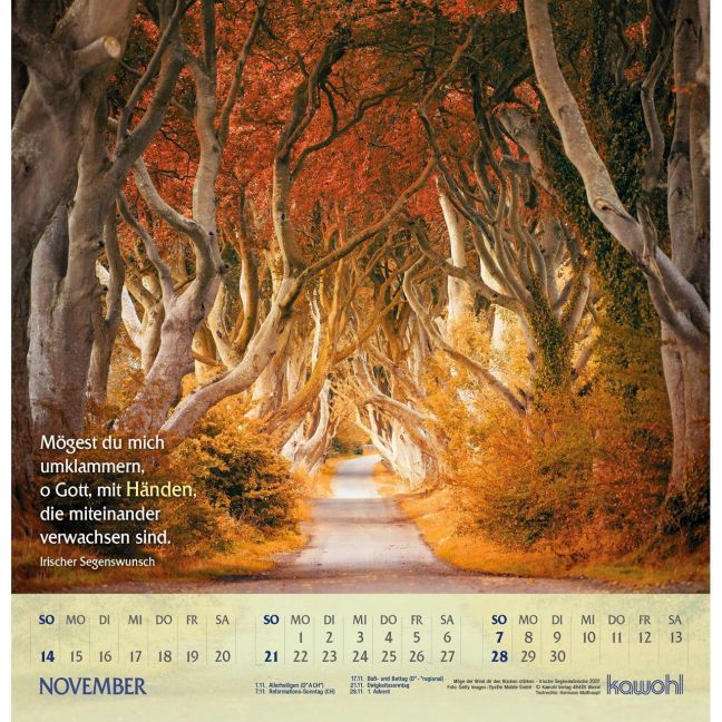 InsideView 11