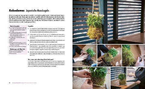 InsideView 4