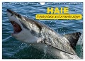 Haie. Erfolgreiche und schnelle Jäger (Wandkalender 2024 DIN A4 quer), CALVENDO Monatskalender - Elisabeth Stanzer