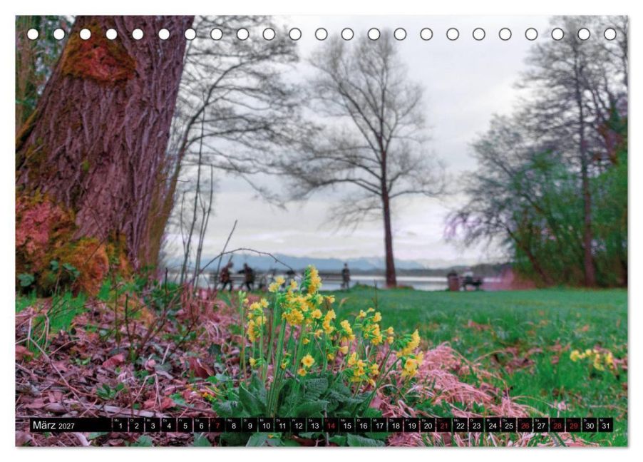 InsideView 8
