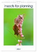 Insects for planning (Wall Calendar 2024 DIN A4 portrait), CALVENDO 12 Month Wall Calendar - Clemens Stenner