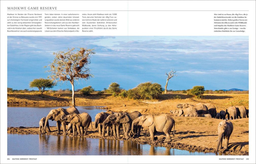InsideView 14