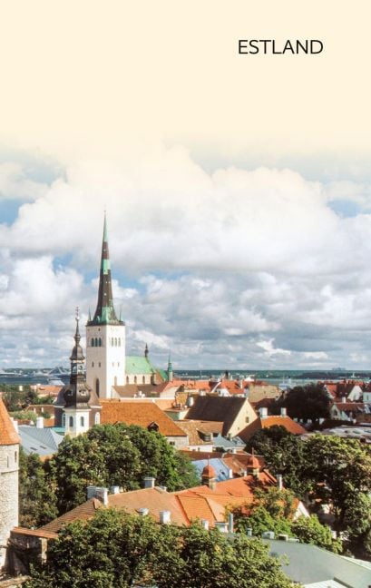 InsideView 29