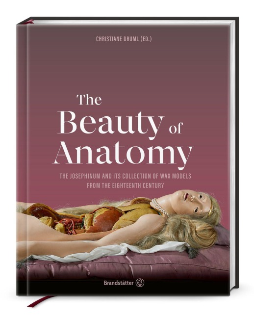 The Beauty of Anatomy - 