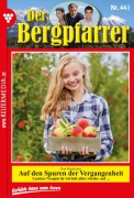 Cover-Bild zum Titel 'Auf den Spuren der Vergangenheit' von 'Toni Waidacher'