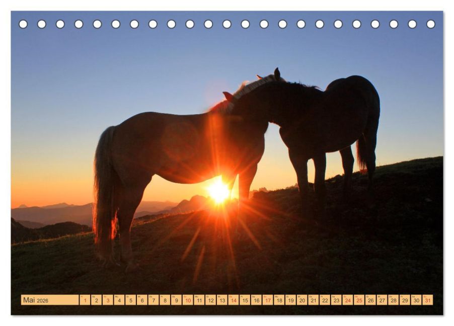 InsideView 10