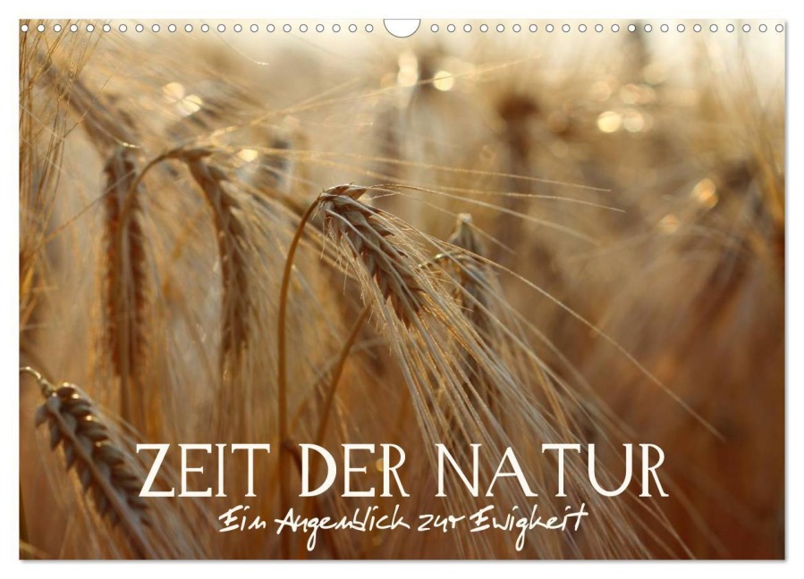 Zeit der Natur - Ein Augenblick zur Ewigkeit (Wandkalender 2026 DIN A3 quer), CALVENDO Monatskalender - Vronja Photon (Veronika Verenin)